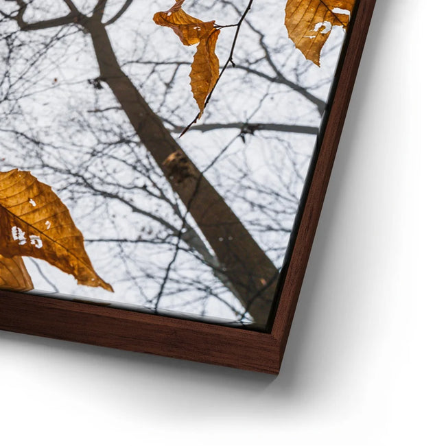 Featured image 14 for Reaching Skyward