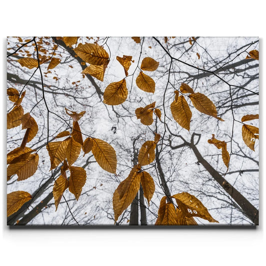 Reaching Skyward