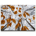 Featured image 1 for Reaching Skyward