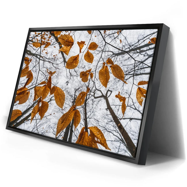 Featured image 2 for Reaching Skyward