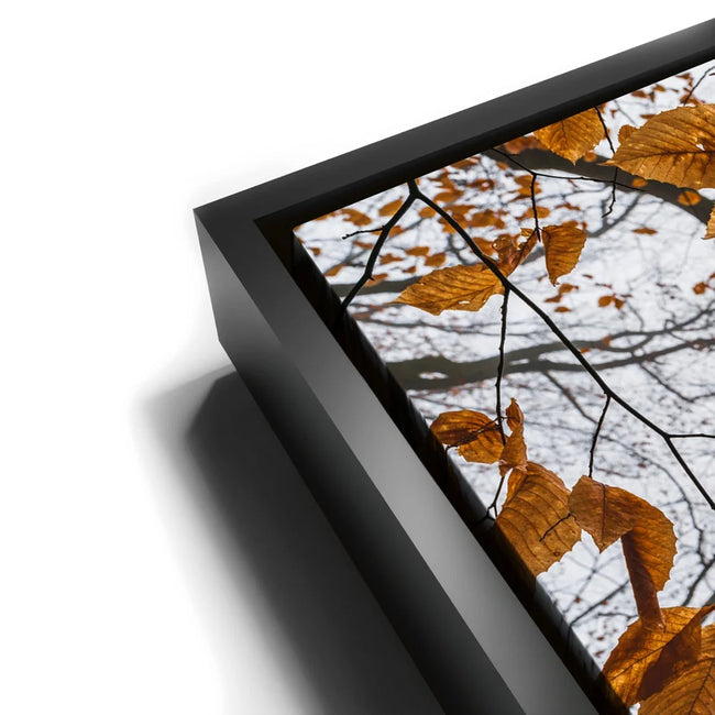 Featured image 11 for Reaching Skyward
