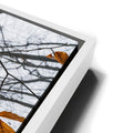 Thumbnail image 13 for Reaching Skyward
