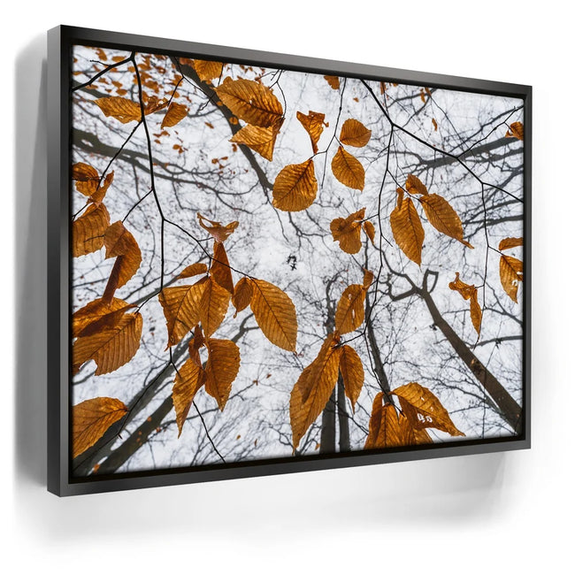 Featured image 5 for Reaching Skyward
