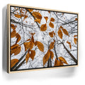 Featured image 9 for Reaching Skyward