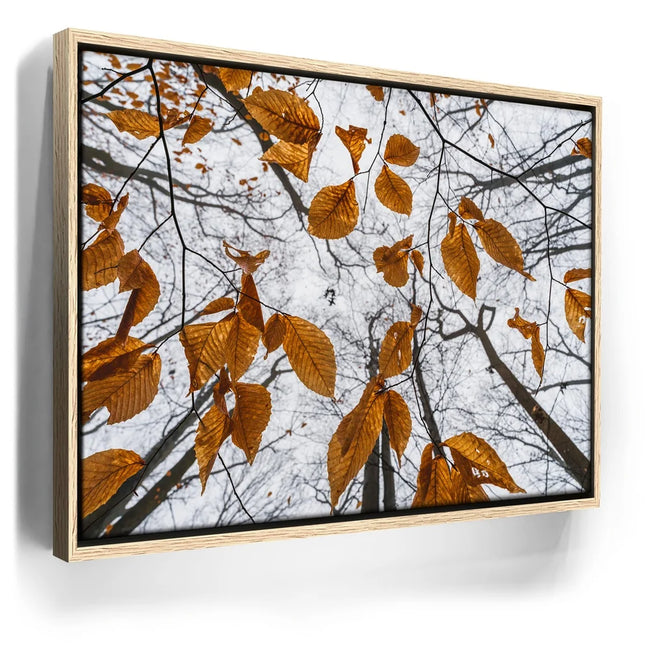 Featured image 9 for Reaching Skyward
