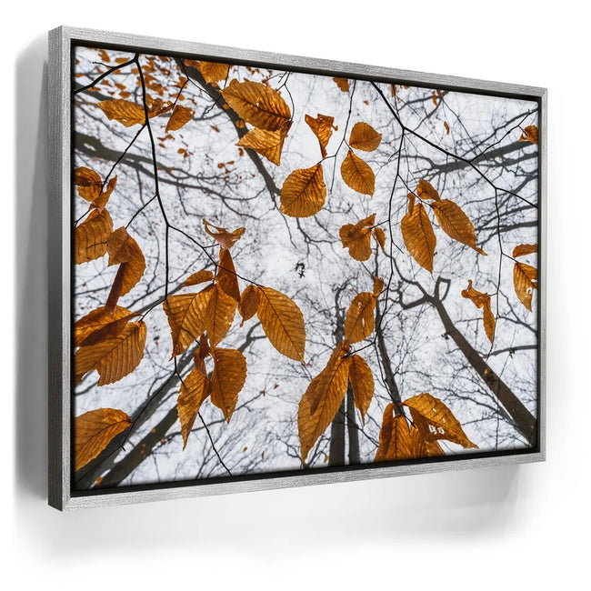 Featured image 8 for Reaching Skyward