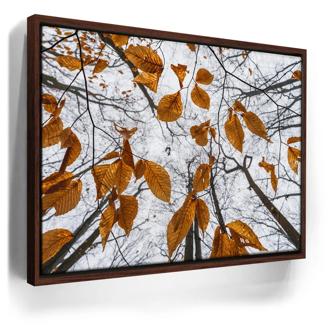 Featured image 10 for Reaching Skyward