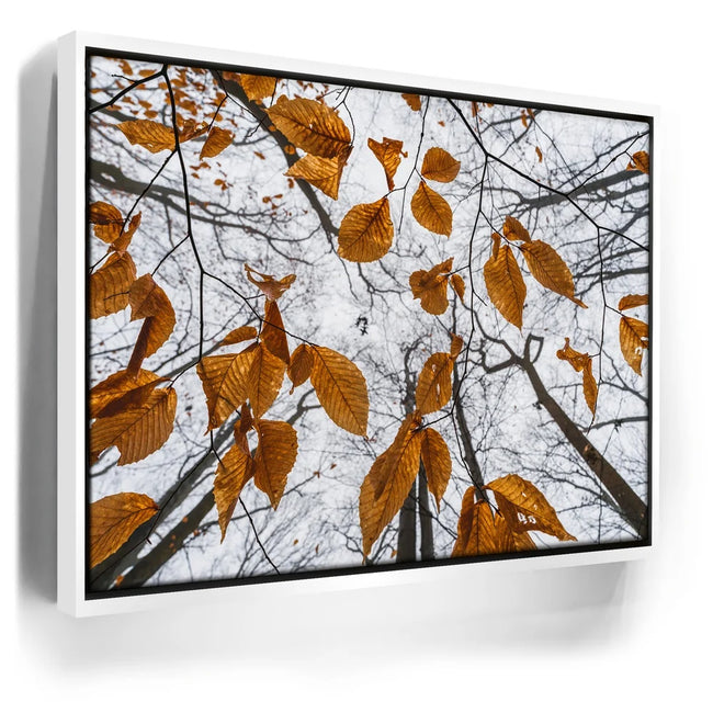 Featured image 6 for Reaching Skyward