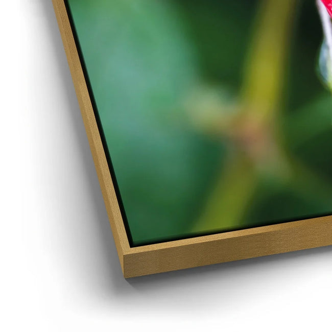Featured image 12 for Red Dragon