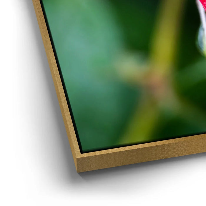 Featured image 12 for Red Dragon