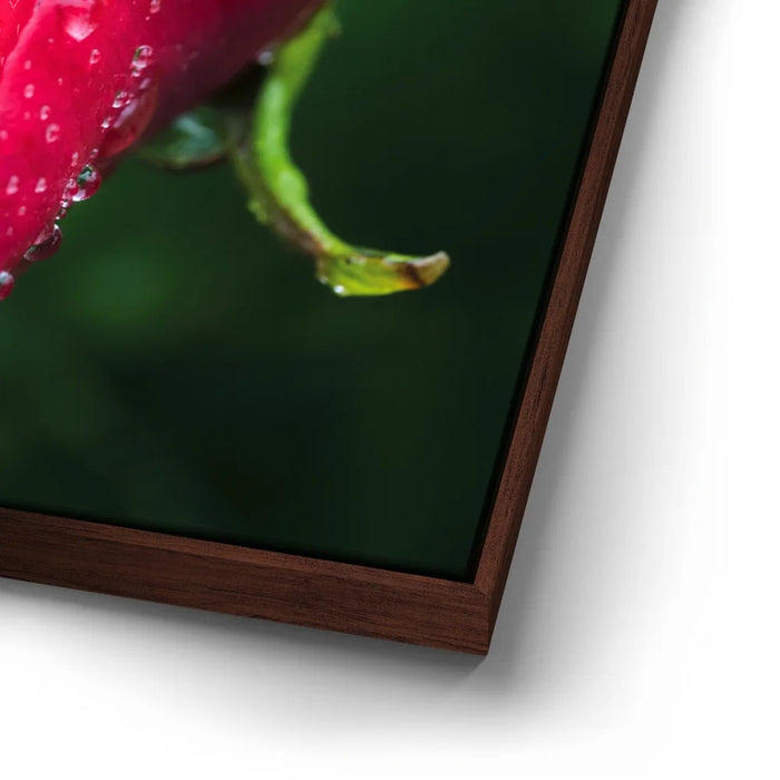 Featured image 14 for Red Dragon