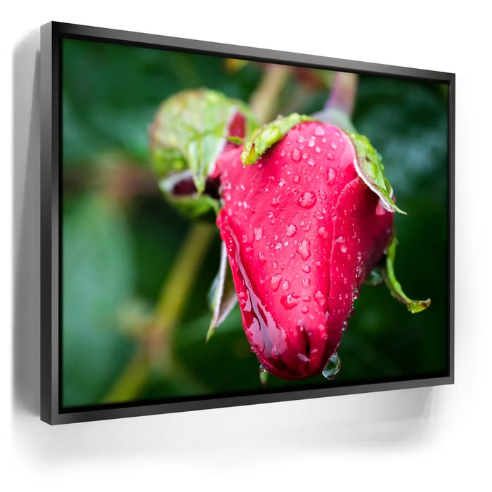 Featured image 5 for Red Dragon