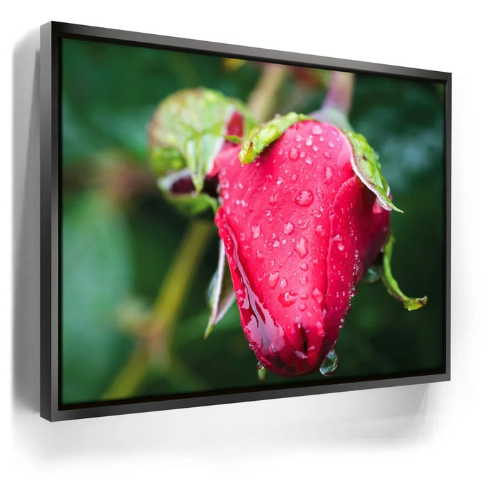 Featured image 5 for Red Dragon