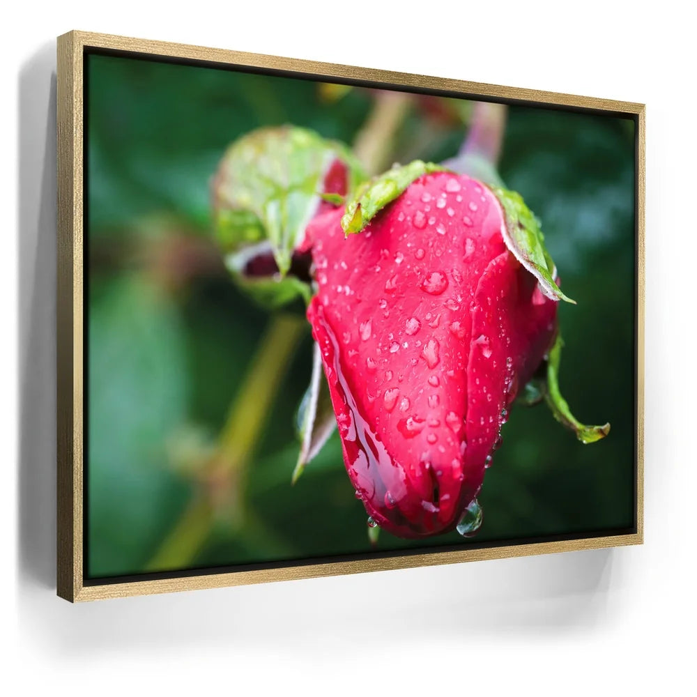 Featured image 7 for Red Dragon