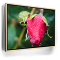 Featured image 9 for Red Dragon