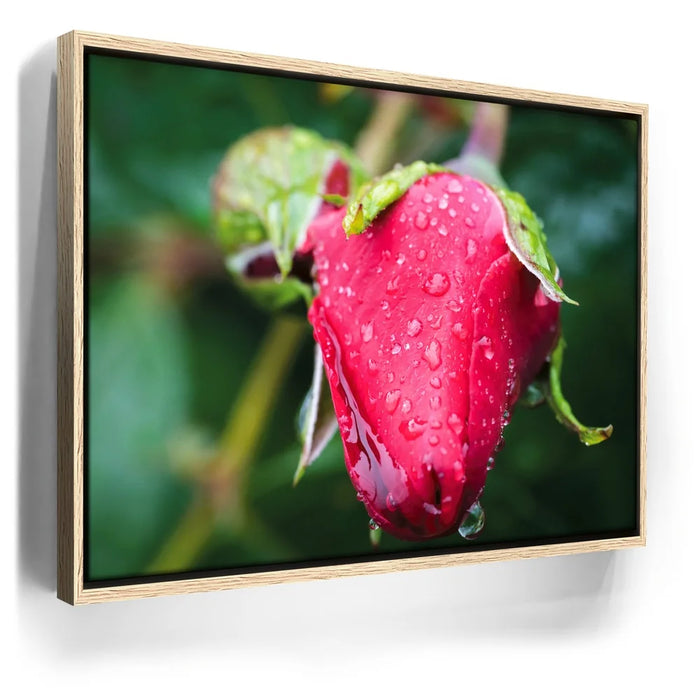 Featured image 9 for Red Dragon