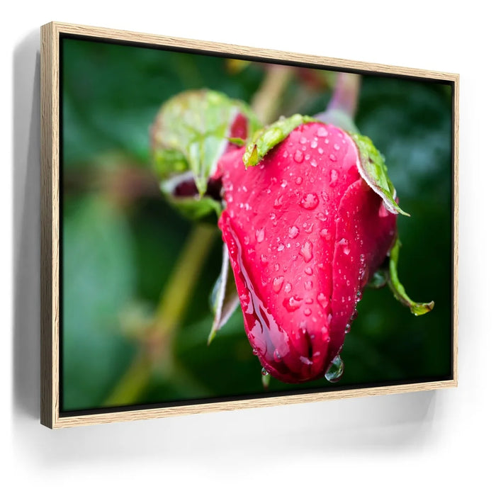 Featured image 9 for Red Dragon