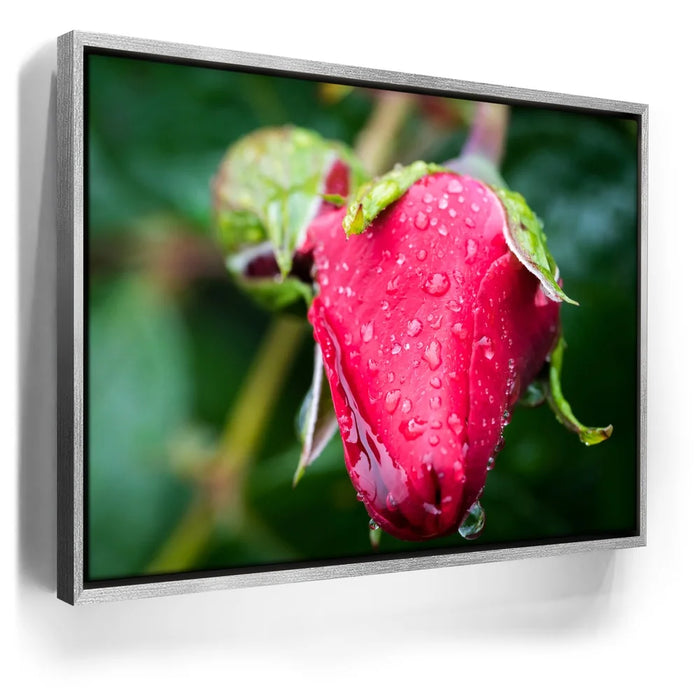 Featured image 8 for Red Dragon