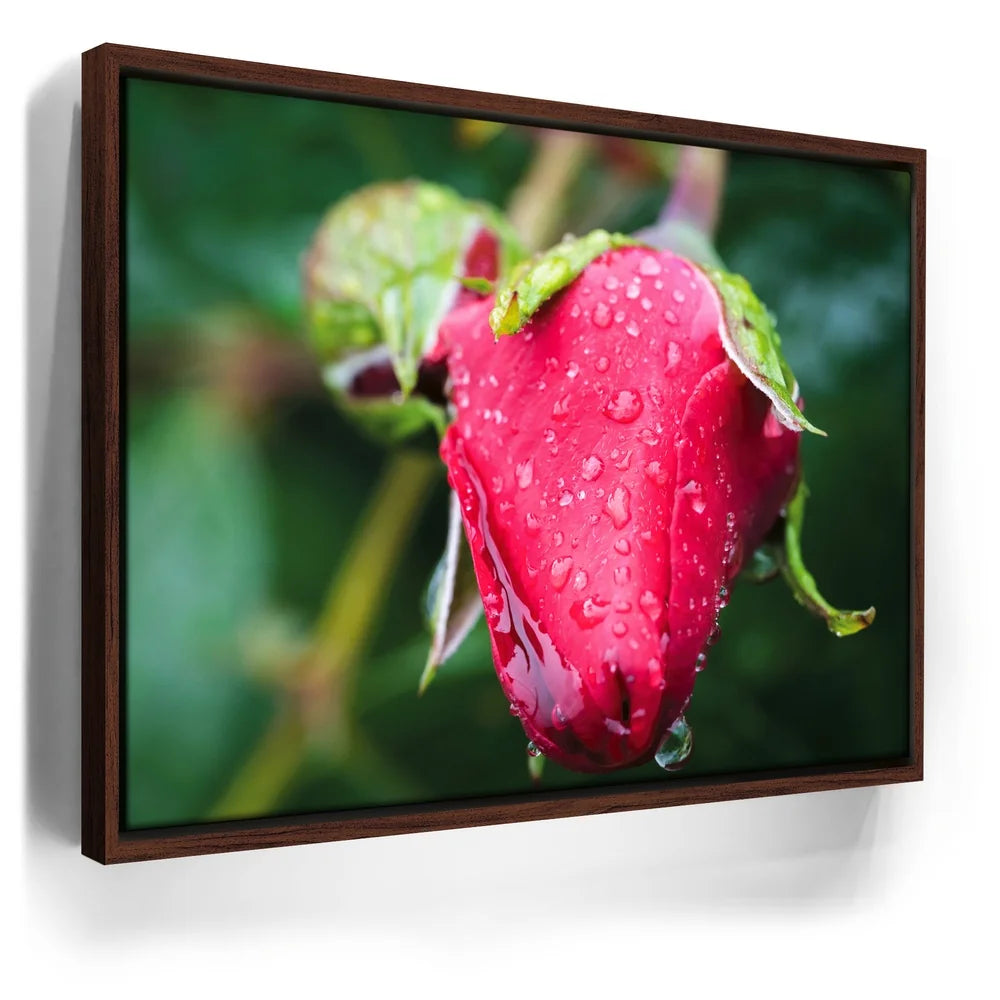 Featured image 10 for Red Dragon