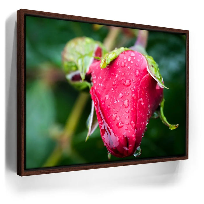 Featured image 10 for Red Dragon