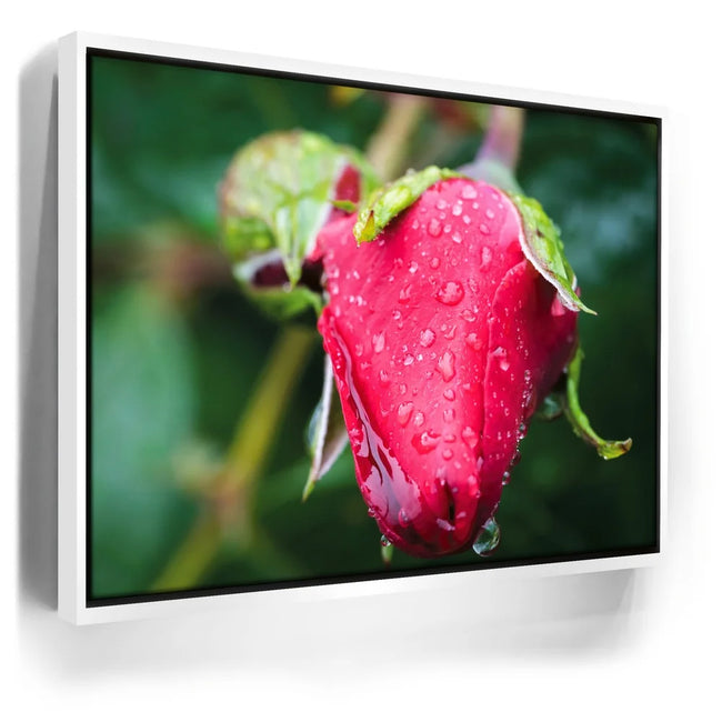 Featured image 6 for Red Dragon