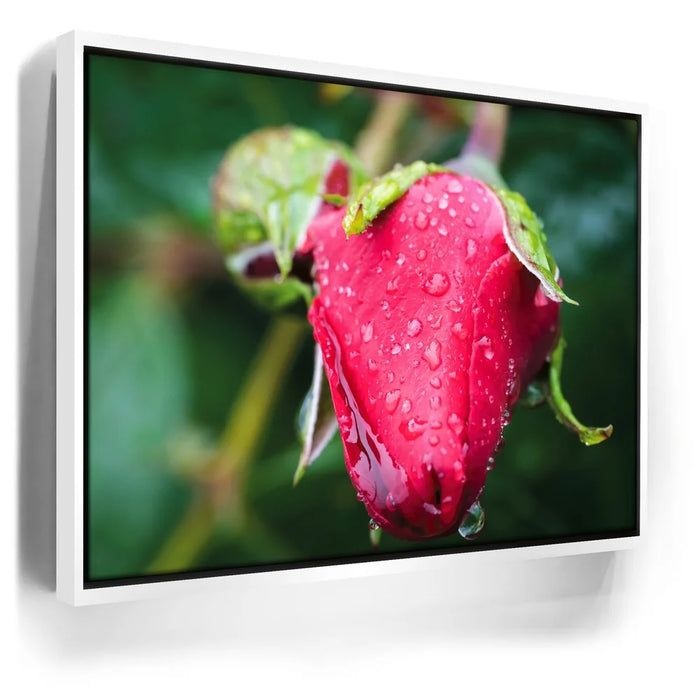 Featured image 6 for Red Dragon