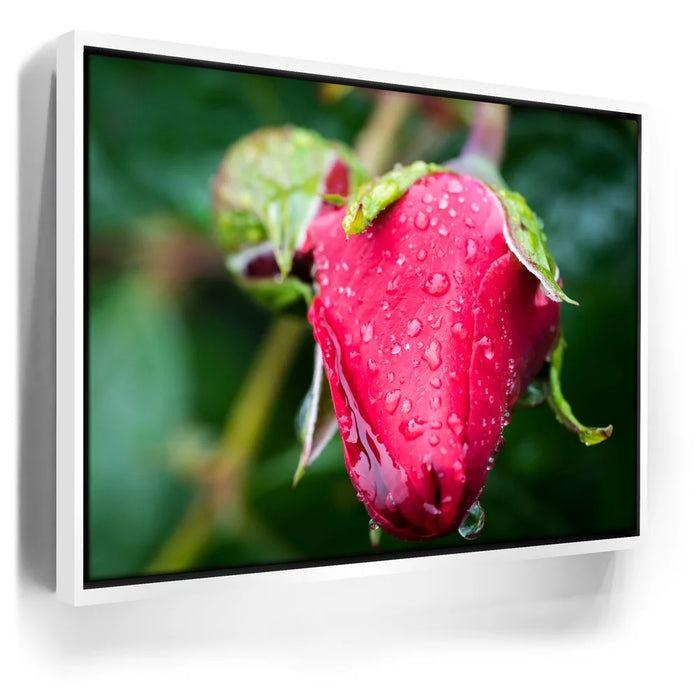 Featured image 6 for Red Dragon