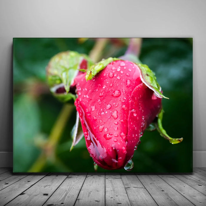 Featured image 1 for Red Dragon