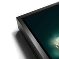 Thumbnail image 11 for Red Pill