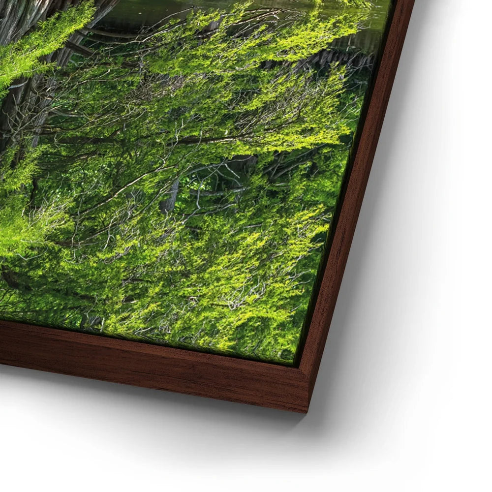 Featured image 14 for Reflections Of Serenity