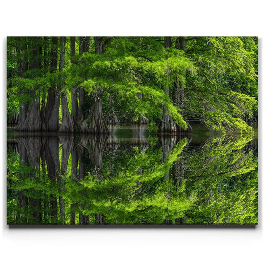 Reflections Of Serenity
