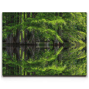 Reflections Of Serenity
