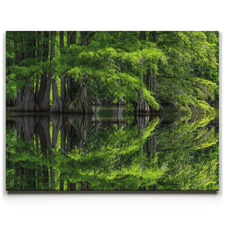 Reflections Of Serenity
