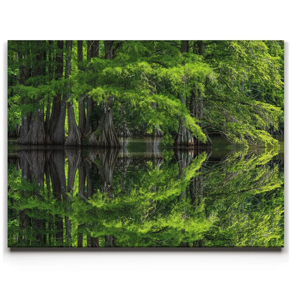 Featured image 1 for Reflections Of Serenity