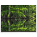Featured image 1 for Reflections Of Serenity