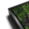 Thumbnail image 11 for Reflections Of Serenity