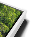 Thumbnail image 13 for Reflections Of Serenity