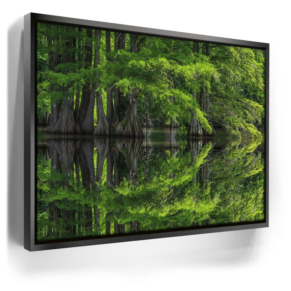 Featured image 5 for Reflections Of Serenity