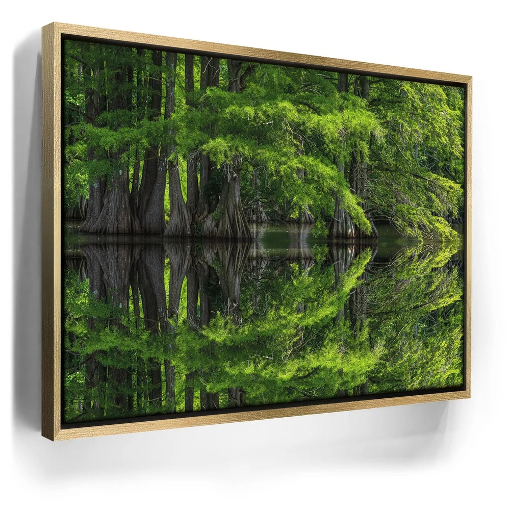 Featured image 7 for Reflections Of Serenity