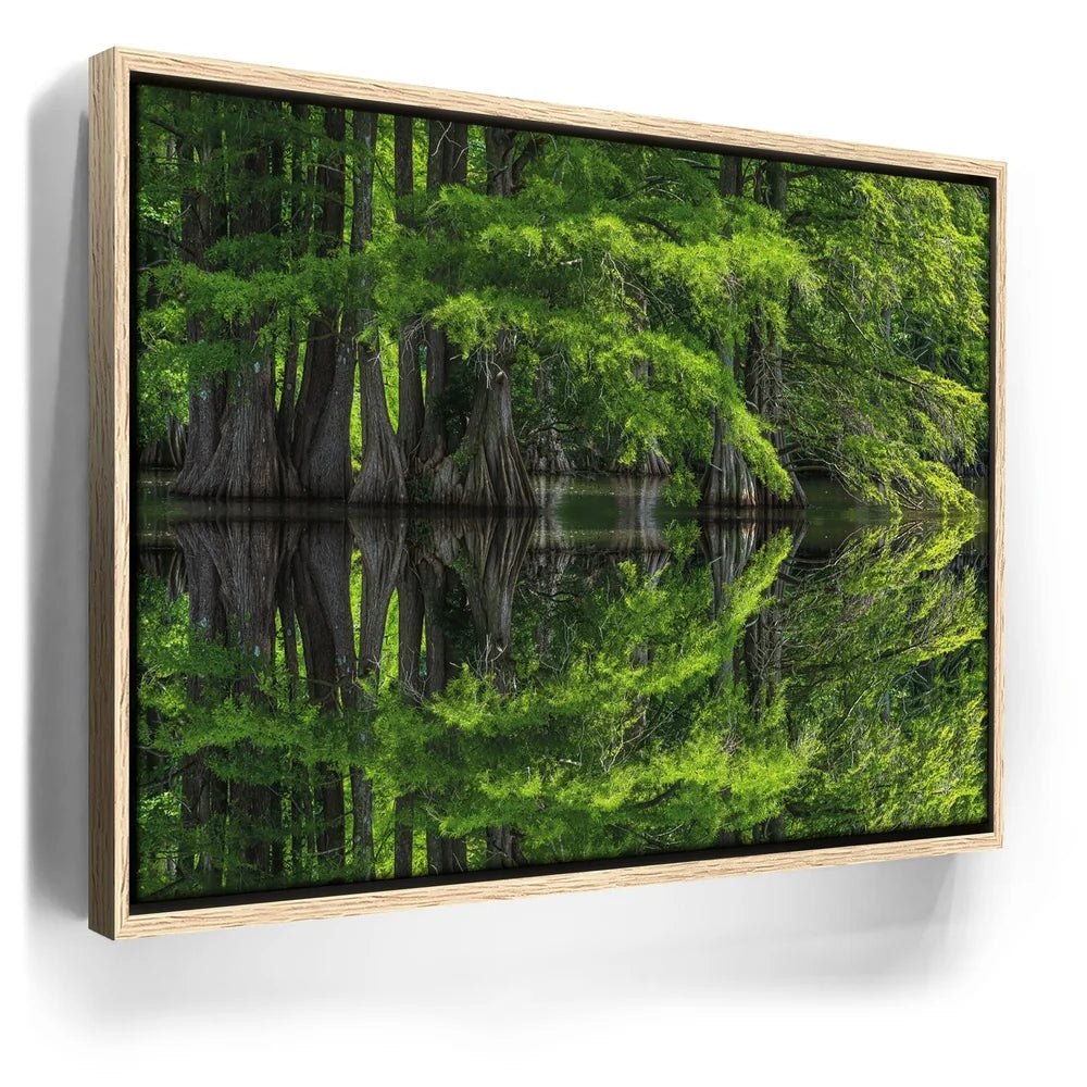 Featured image 9 for Reflections Of Serenity