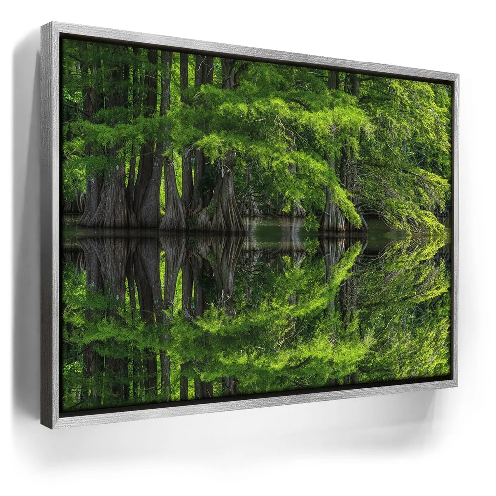 Featured image 8 for Reflections Of Serenity