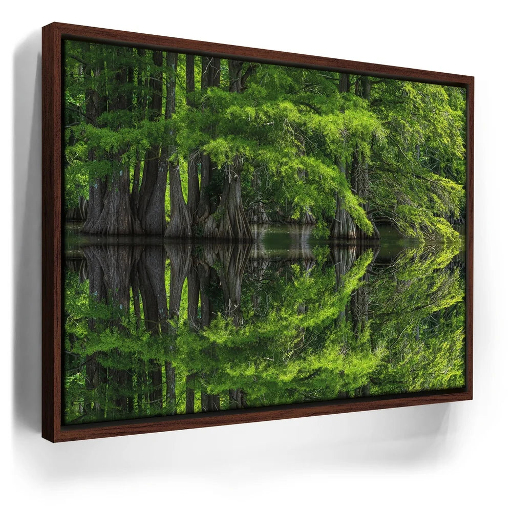 Featured image 10 for Reflections Of Serenity
