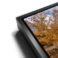 Thumbnail image 11 for Reflective Cascade Ponds Banff, Canada