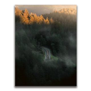 Road to Nowhere