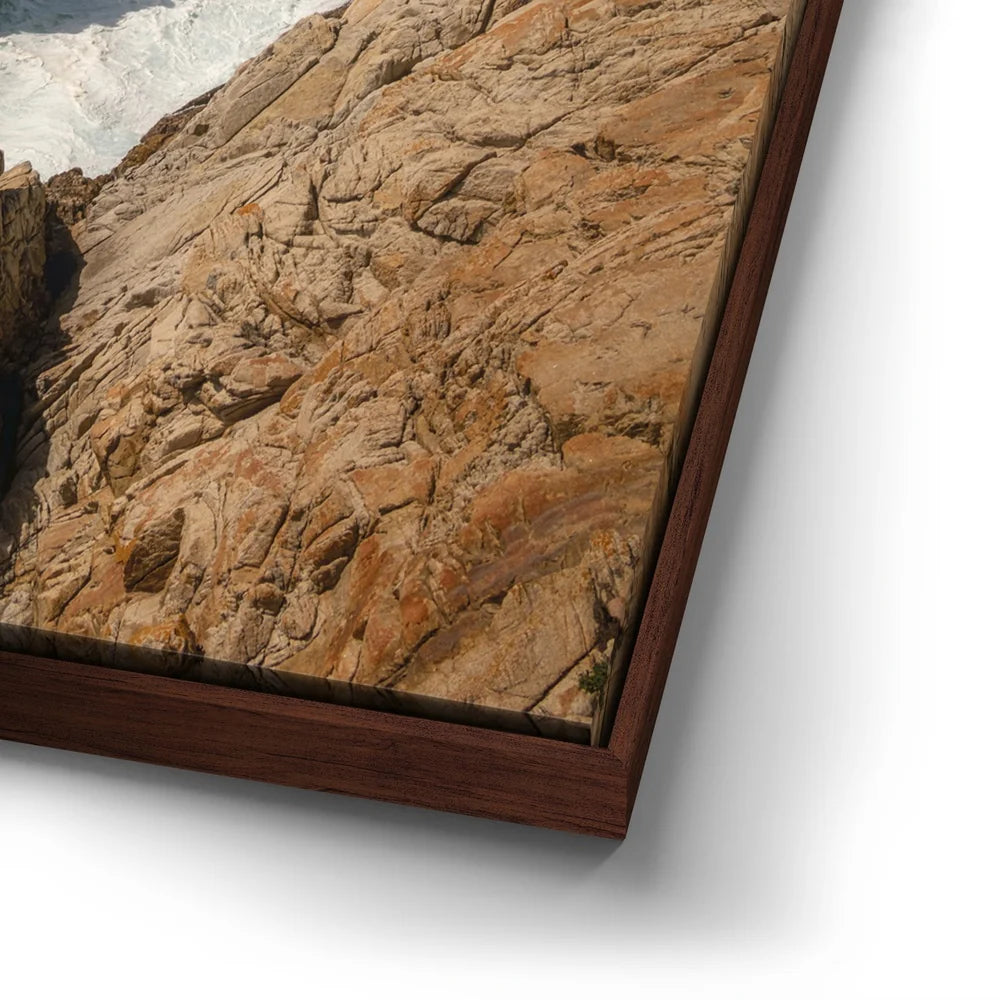Featured image 14 for Rugged Beauty - Point Lobos Natural Reserve, CA