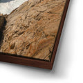 Thumbnail image 14 for Rugged Beauty - Point Lobos Natural Reserve, CA