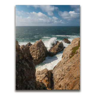 Rugged Beauty - Point Lobos Natural Reserve, CA