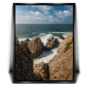 Rugged Beauty - Point Lobos Natural Reserve, CA