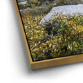 Thumbnail image 12 for Sabrina Basin Bishop, CA