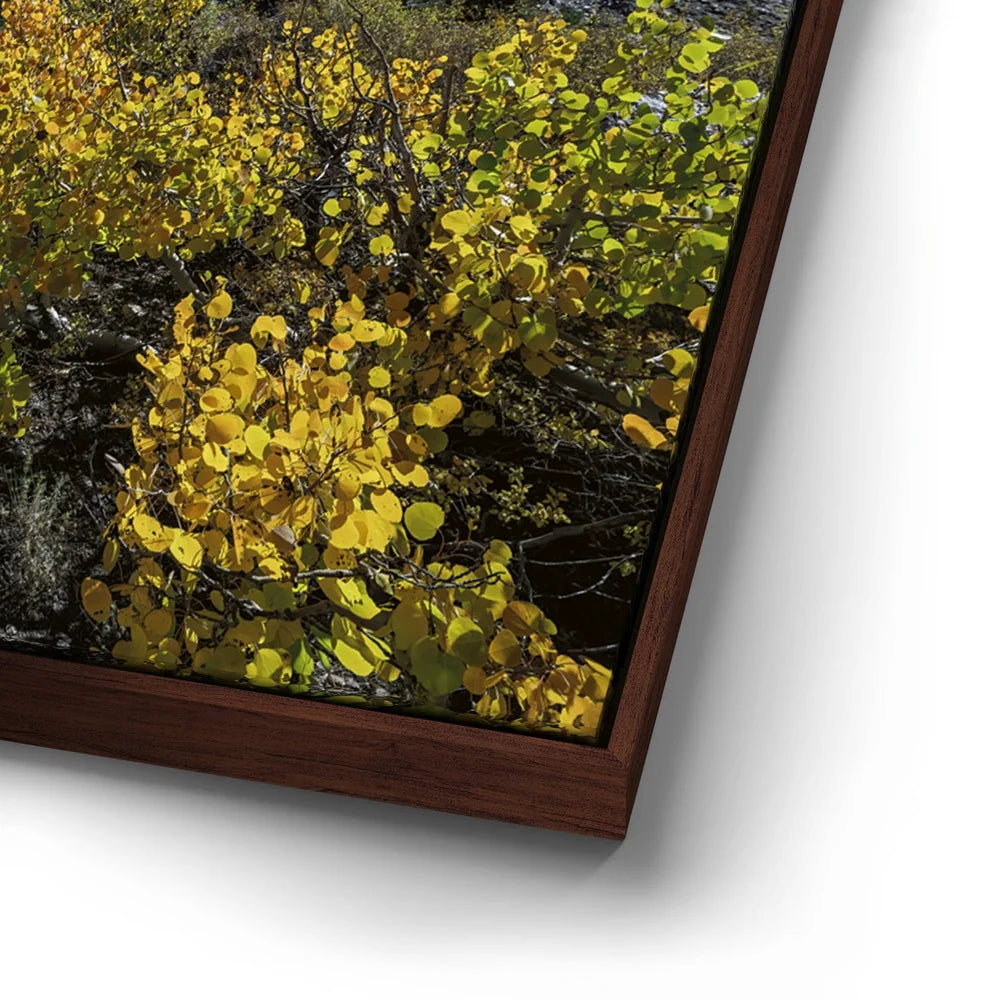 Featured image 14 for Sabrina Basin Bishop, CA